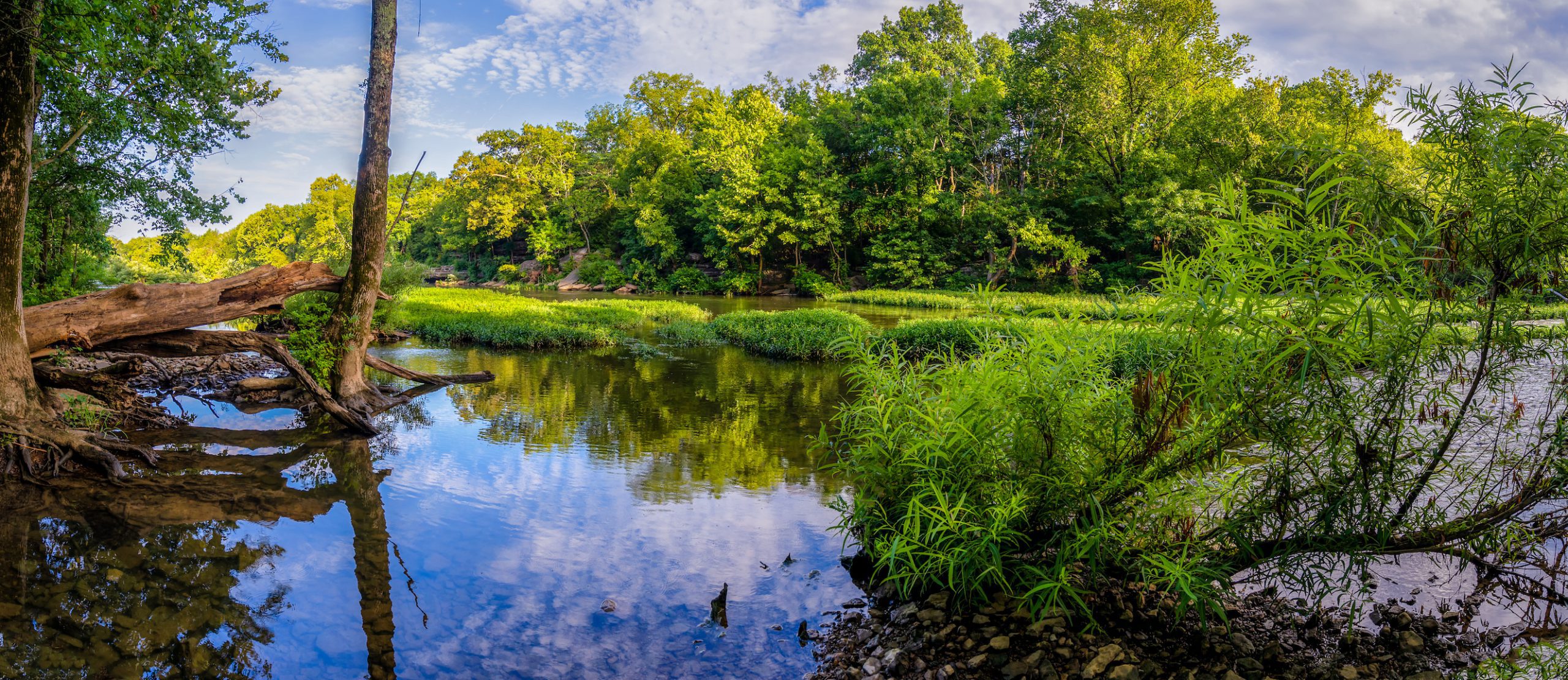 Landmarc Murfreesboro TN Office 1514 Sarah Court Murfreesboro TN 37129